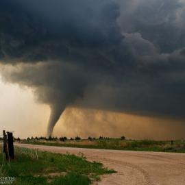 有多危险就有多美丽
