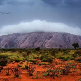 一别尘中事，风光十二载