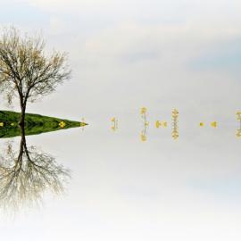 Adrienn Balaskó看世界