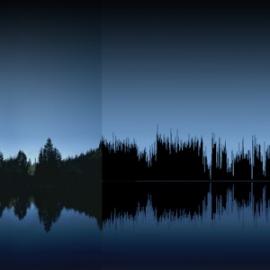 你看到过声音的样子么？