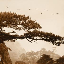 水墨丹青单雄威