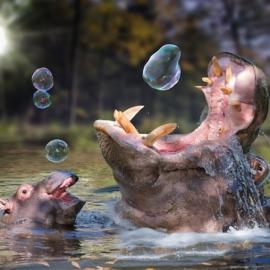 John Wilhelm：非一般的PS神技