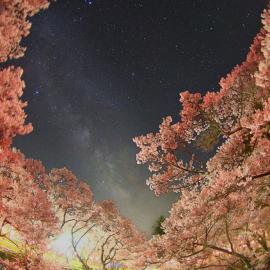 宮坂雅博的璀璨星空