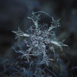 初冬雪花精灵奇观