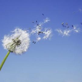 你见过风的样子吗？——风之摄影