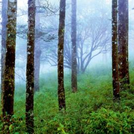 2013年9月 第一眼美景