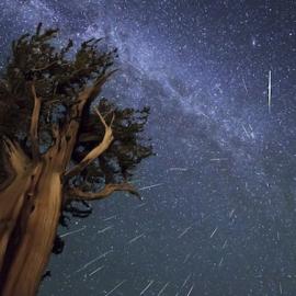不可错过的英仙座流星雨