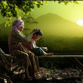 Andre Arment :静美田园