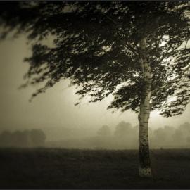 教你在恶劣天气下拍出大片