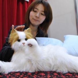 仿真猫玩具