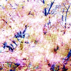 艺术作品