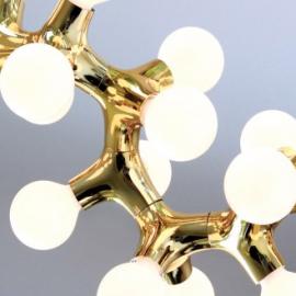 DNA lamp