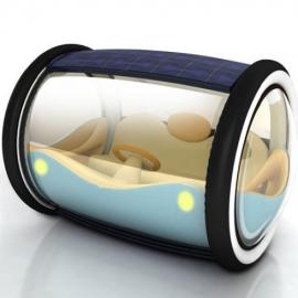 椰树：概念交通工具