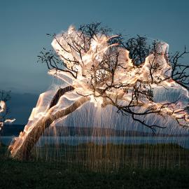 长曝光制造的火树银花