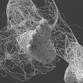 极致酷炫！数码人体雕塑