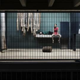 细思极恐：如果人类被囚禁在动物园里