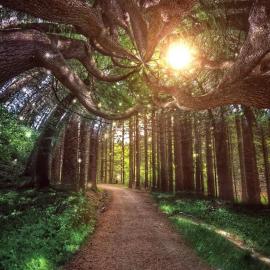 用iPhone拍出梦幻的超现实主义作品