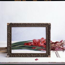 理工男的艺术和后现代摄影美学