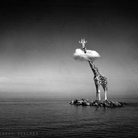 同样玩后期，你能比他还厉害？