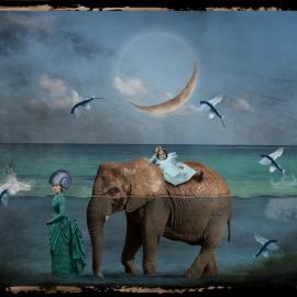 法国巴黎摄影大赛揭晓 中国摄影师身影活跃