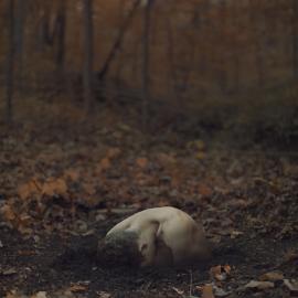 不当送餐员的摄影师不是好艺术家