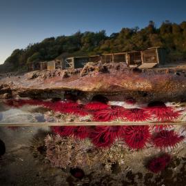 一半海水一半天的迷人世界
