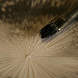 剪刀胶水引发的图片大爆炸