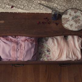 镜头下世间最真的爱