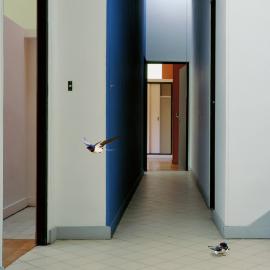 这些动物寓言你看懂了么？