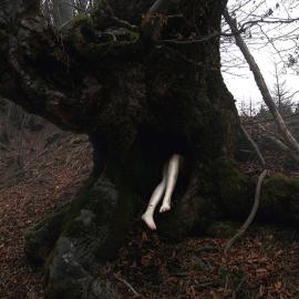 裸女与黑暗森林的秘密