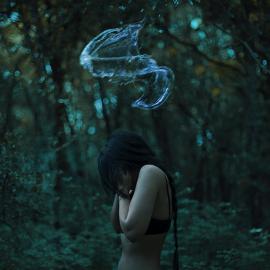 有关青春少女的叛逆梦