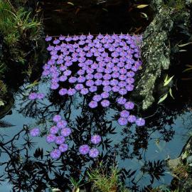 他是地景摄影师，他用自然来创作艺术