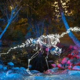 他用光复活了恐龙