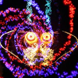 史上最华丽的光绘神作