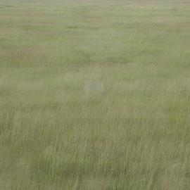 镜子背后的超现实自拍