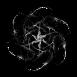 直接拍出来的人体作品，你信么？