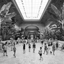 视觉冲击下的冲突