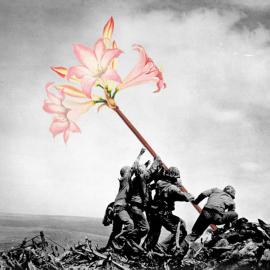 如果战争是朵花