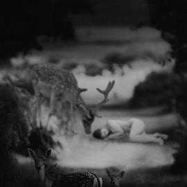 观念摄影：我们都是世界的观众