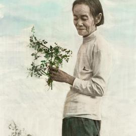 范顺赞：影像，在他们的时间里