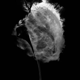 Fabian Oefner舞动的色彩