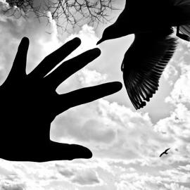 何雄：从手机中走出的极端闲人