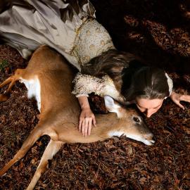 当人类闯入动物王国