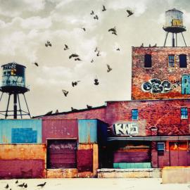 没错，这就是照片