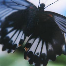 亚洲最有影响力的 30 位摄影师