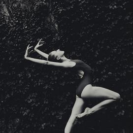 Eduardo Izquierdo：黑白芭蕾的森林