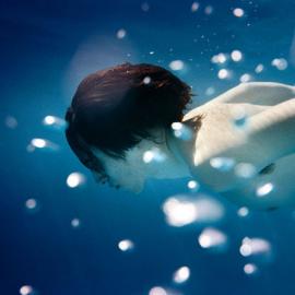 Ryan McGinley：影像中的理想国