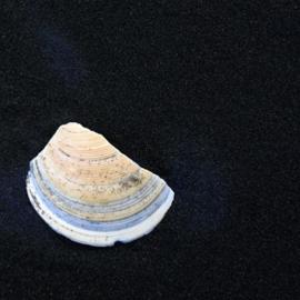 艺术大师的构图（下）——绝非所谓经典构图