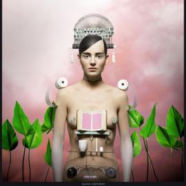 荒谬和超现实的世界