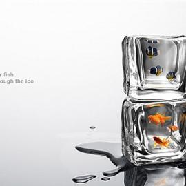 冰块鱼缸